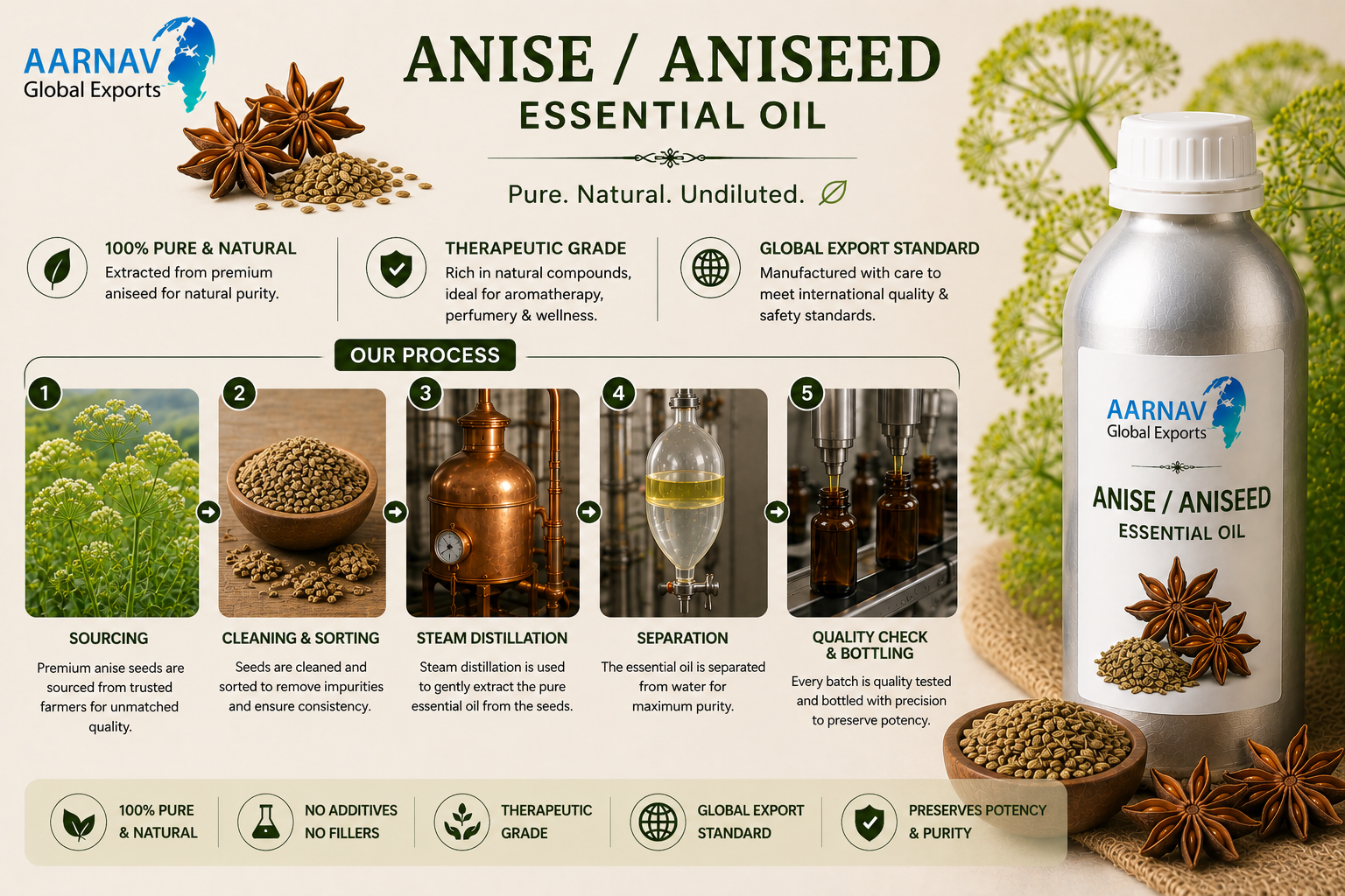 Aniseed EO2